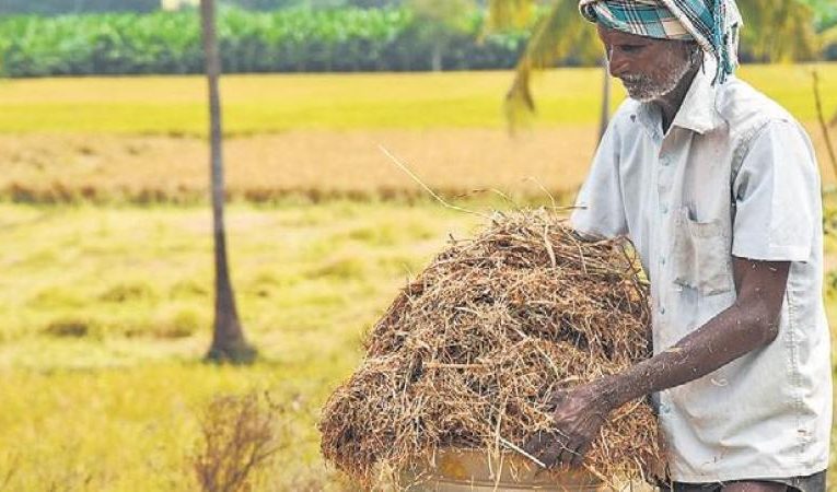 ୬ରୁ ଧାନ ସଂଗ୍ରହ କରିବେ ଓଡ଼ିଶା ସରକାର
