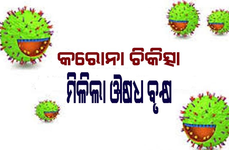 ଆଇସିଏଆରର ଦାବି – ଆର୍ୟୁବେଦରେ ରହିଛି କରୋନା ଔଷଧ