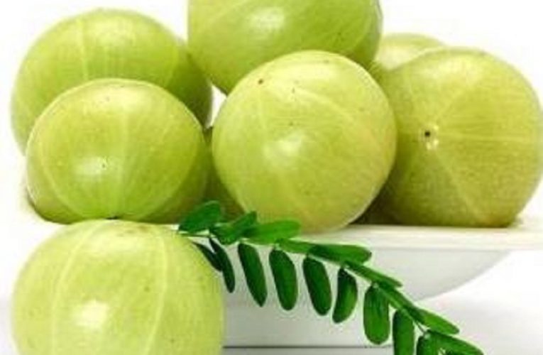 ଅଁଳାରେ ରହିଛି ଏହିସବୁ ଉପକାରୀ ଗୁଣ