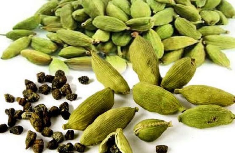 ମୁଖ ଦୁର୍ଗନ୍ଧ ଦୂର କରେ ସ୍ୱାସ୍ଥ୍ୟପ୍ରଦ ଗୁଜୁରାତି