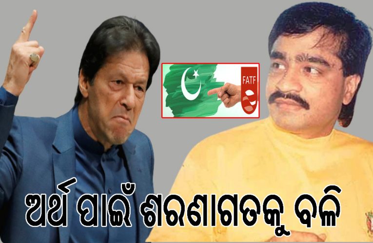ଭିକାରୀ ପାକିସ୍ତାନ ଟଙ୍କା ଚାହୁଁଥିଲା, ସୁଯୋଗ ଦେଖି ସେ ଦାଉଦ୍‌ ଇବ୍ରାହିମଙ୍କୁ ବଳି ଦେଇଦେଲା