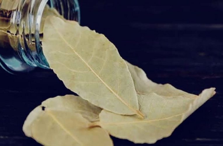 ତେଜପତ୍ରରେ କି କି ଉପକାରୀ ଗୁଣ ରହିଛି, ପଢନ୍ତୁ