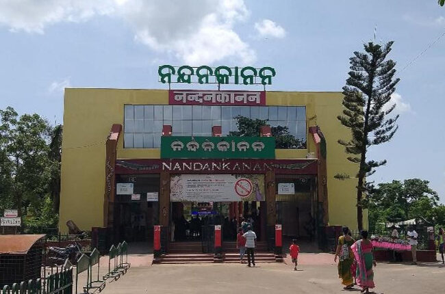 ଆସନ୍ତା ମେ ୨୩ରେ ନନ୍ଦନକାନନରେ ଅତ୍ୟାଧୁନିକ ବହୁତଳ ପାର୍କିଂ ପ୍ରକଳ୍ପର ଉଦଘାଟନ କରିବେ ମୁଖ୍ୟମନ୍ତ୍ରୀ
