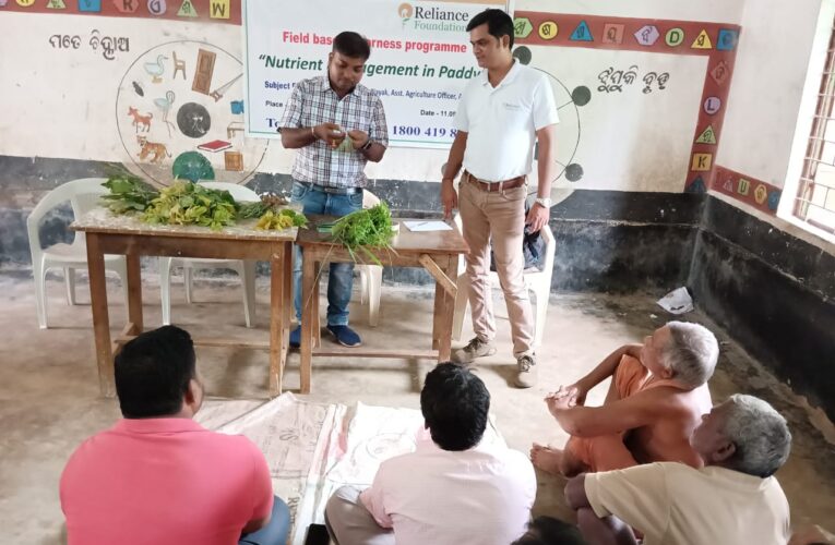 ଧାନ ଫସଲରେ କେମିତି କରିବେ ସାର ପରିଚାଳନା